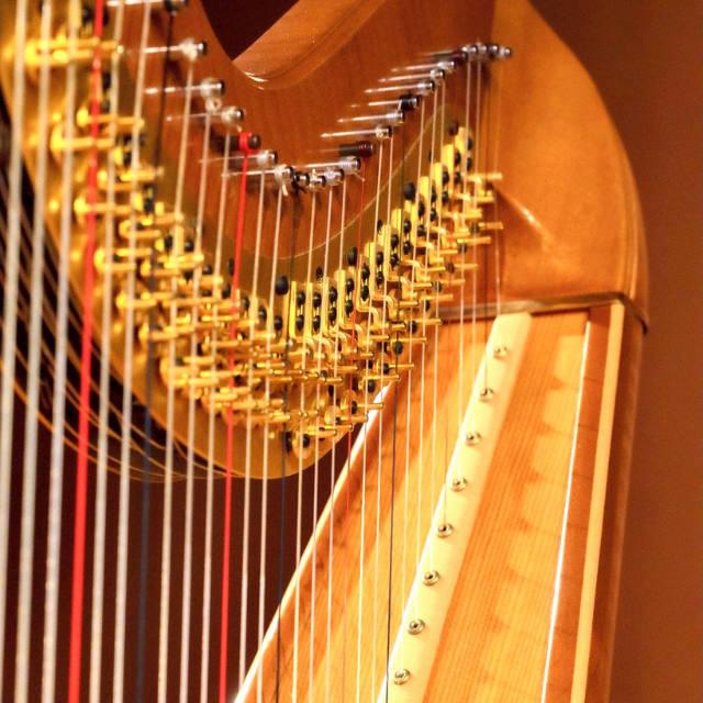 ハープ王子 王子認定協会