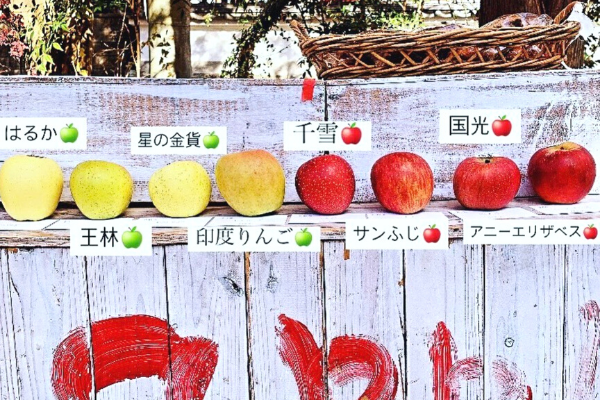 りんご王子 - 王子認定協会 